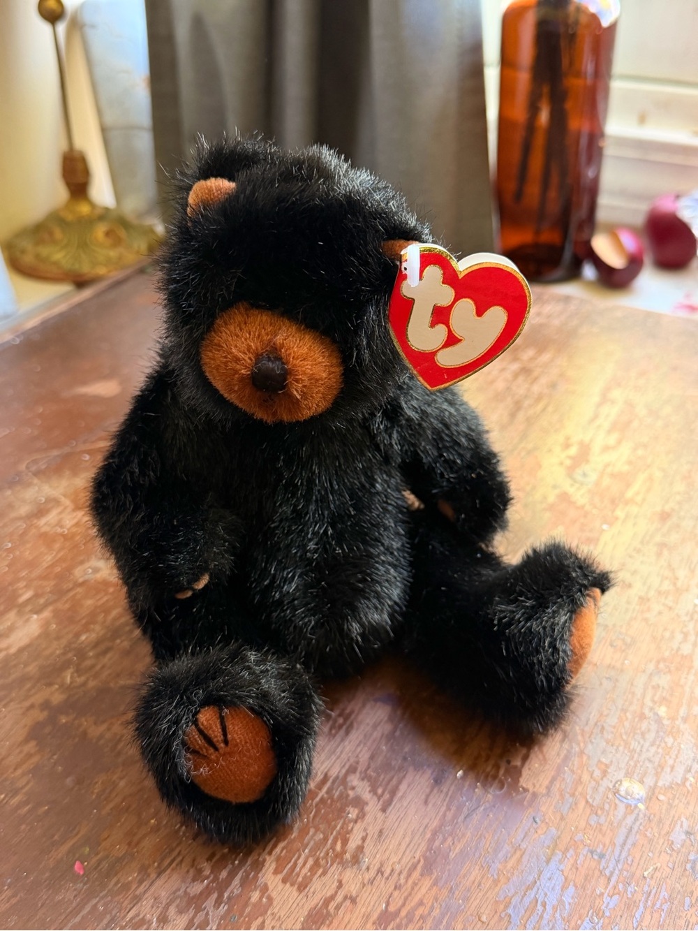 Ty Black Bear Plush with Brown Snout & Paw Pads Ivan